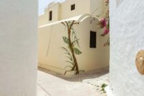 Djerba Bilder 11 Djerba Bilder 11 scaled