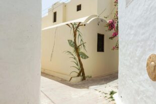Djerba Bilder 11 Djerba Bilder 11 scaled