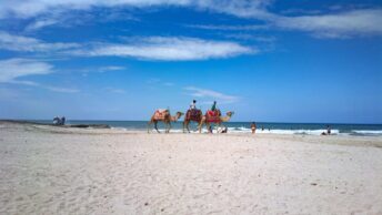 Djerba Bilder 14 Djerba Bilder 14 scaled