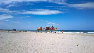 Djerba Bilder 14 Djerba Bilder 14 scaled