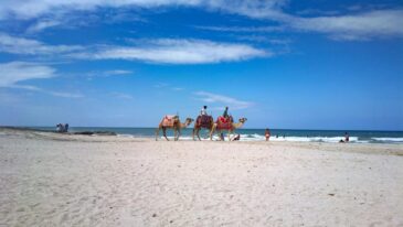 Djerba Bilder 14 Djerba Bilder 14 scaled