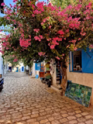 Djerba Bilder 23 Djerba Bilder 23