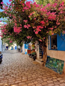 Djerba Bilder 23 Djerba Bilder 23