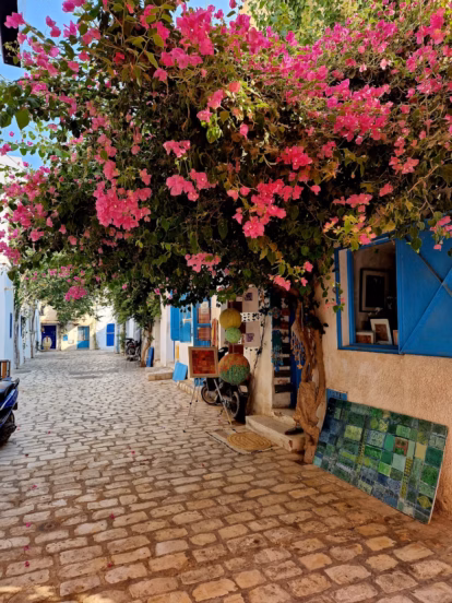 Djerba Bilder 23 Djerba Bilder 23