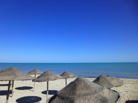 Djerba Bilder 29 Djerba Bilder 29