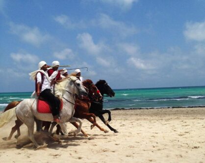 Djerba Bilder 30 Djerba Bilder 30