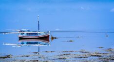 Djerba Bilder 4