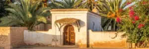 Verlassene, traditionelle Djerba-Hütte mit Palmen im Hintergrund, ideal für Auswanderung nach Djerba, authentischer arabisierter Süden, marokkanische Architektur, exotisches Inselparadies, Lebensqualität, Immobilien, Migranten.