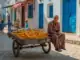 Obstverkäufer auf Djerba, bunte Orangen und Zitronen, traditionelles Stadtbild, Auswandern nach Djerba, marokkanische Atmosphäre, lebendige Märkte, authentisches nordafrikanisches Leben, exotischer Lebensstil, Djerba Travel.